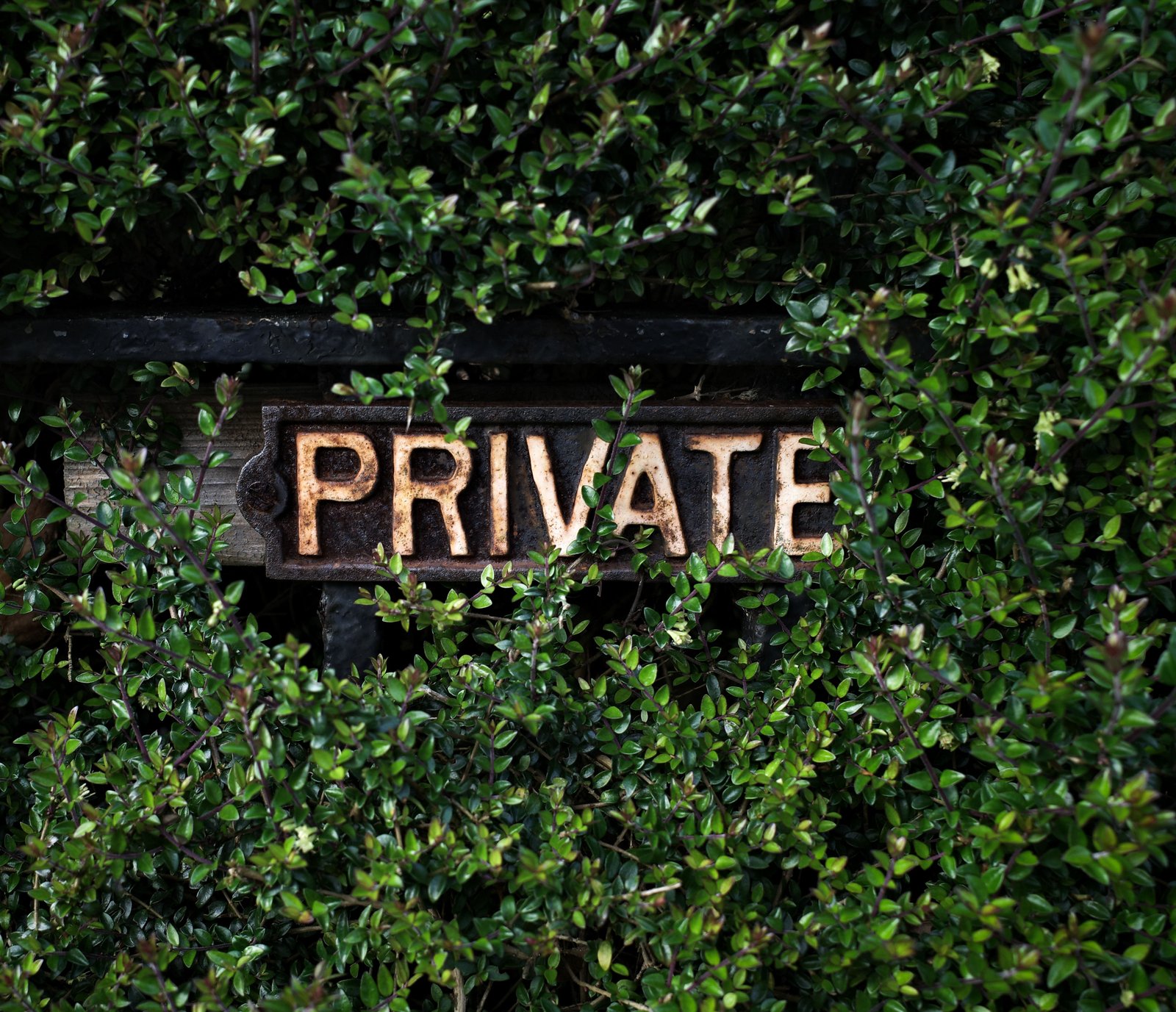 does my website need a privacy policy